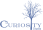Curiosity Studio Logo